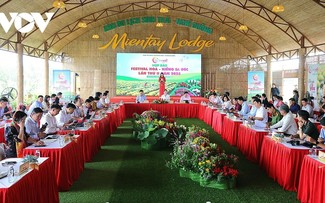 2025 사덱 꽃·관상용 나무 페스티벌, 2025년 12월 27일~ 2026년 1월 4일까지 개최