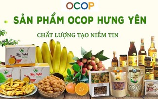 Hung Yen អភិវឌ្ឍន៍កសិកម្មដោយផ្សារភ្ជាប់នឹងការកសាងជនបទថ្មី