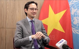 越南继续在联合国巩固自身作用、地位和特色