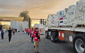 埃及向加沙地带运送六千吨援助物资