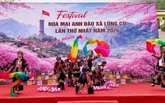 首届冬樱花节开幕式