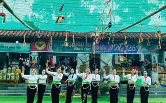 在越南各民族文化旅游村共庆“村寨新年”