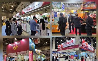 越日贸易额首次突破500亿美元大关