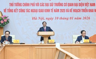 主动积极开展经济外交，助力推动两位数增长