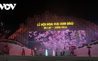 2026年春季大叻高盆樱花桃节开幕