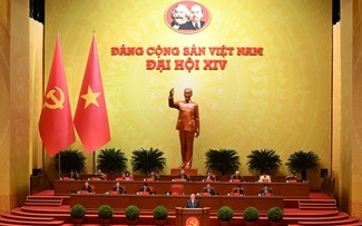 评论：行动的命令