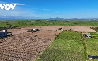 数字化转型：推动嘉莱农产品走向更广阔市场的驱动力