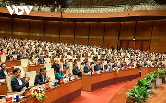 国有经济：新纪元的国家支点