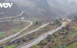 宣光省加快旅游业数字化转型