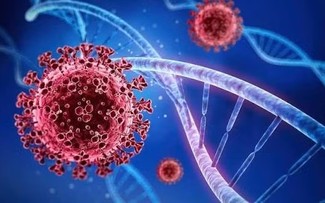 卫生部发布关于新型冠状病毒变异株的警告