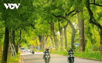 Autumn arrives in Hanoi