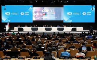 UN chief calls on countries to fully honor COP29 agreement 