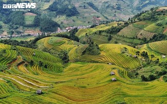 Hang Dang Dê à la saison des récoltes 