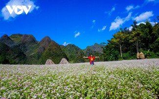 Le Vietnam de nouveau sacré “Première destination mondiale du patrimoine”