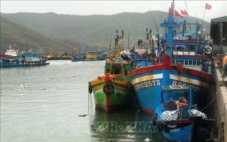 Binh Dinh province clamps down on IUU fishing