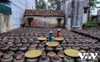 The making of fermented soybean paste in Hung Yen