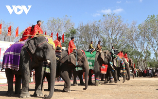 Buon Don Elephant Festival 2025 kicks off 