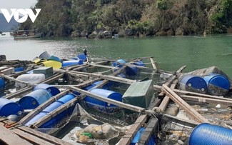 Quang Ninh adopts aquaculture best practices to adapt to climate change