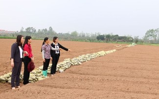 Provinsi Bac Ninh membantu para perempuan melakukan usaha start-up secara efektif