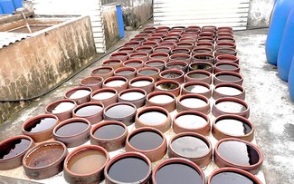 サチャウ村の魚醤