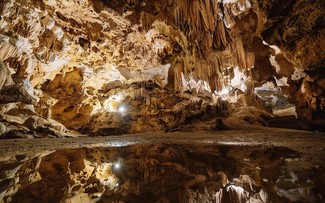 Cat Ba archipelago possesses amazing caves