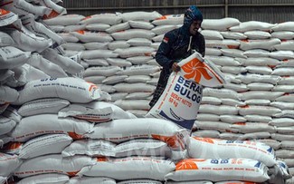 Vietnam becomes Indonesia’s second biggest rice supplier