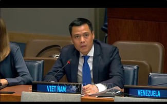 Vietnam advocates int'l community's comprehensive disarmament efforts