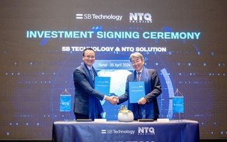 NTQ Solution: a global IT developer