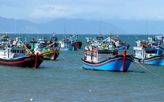 Phu Yen province combats IUU fishing