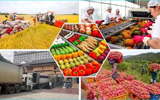 Vietnam’s agricultural products become more popular in EU 