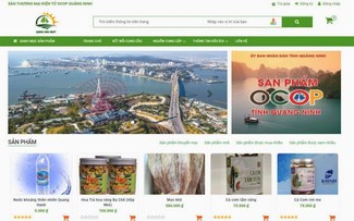 Quang Ninh accelerates digital economy