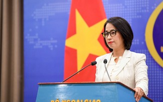Vietnam values international support for overcoming disaster consequences
