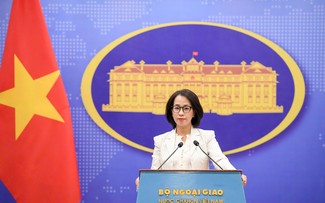 Vietnam pursues sustainable marine economic development: FM spokesperson