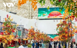 Wednesday November 5, 2025