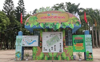 Hanoi Botanical Garden boasts rare plant species, beauty of nature