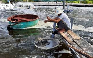 Quang Tri fishermen develop sustainable aquaculture