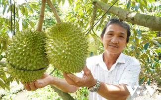 Vietnam builds more raw material areas for sustainable farm produce exports 