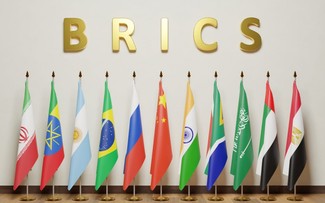 Gulf countries strengthen cooperation with BRICS