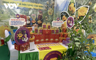 Vietnamese goods advance their dominance the domestic market