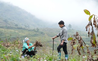 IFAD helps Vietnam’s rural areas adapt to climate change, invest in green future