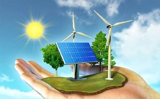 Vietnam’s potential as crucial link in global renewable energy supply chain