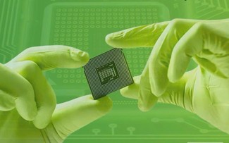 Vietnam, Netherlands work together on semiconductor ecosystem
