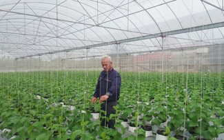 Hung Yen's circular farming models pave the way for sustainable agriculture
