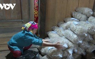 Nung village keeps hand-spread canna vermicelli tradition alive