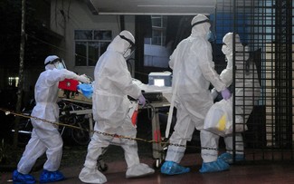India dismisses claims of wider outbreak of Nipah virus