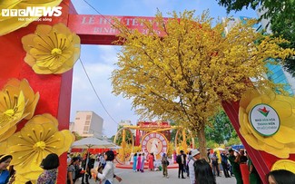 Spring festivities sweep across Vietnam