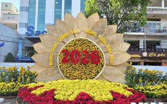 Can Tho unveils Spring Flower Street for Tet 2026