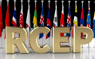 Vietnam launches project to capitalize on RCEP 