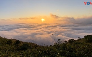 Thiên đường mây Tà Xùa - điểm đến toàn cầu 2026