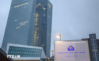 ECB、12月も追加利下げの可能性高まる 米大統領選を警戒＝関係筋